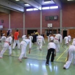 Budo Seminar 2007